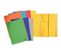 Leitz chemise-trieur, format a4, carton robuste coloré 320 3924-00-01 G
