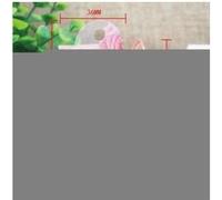 Leitz, Boîte de rangement Click & Store, Format cube L (36 x 32 x 31 cm), pour l'organisation des objets de la maison et du bureau, Montage bouton pression, En carton recyclé à 80%, Noir, 61080095