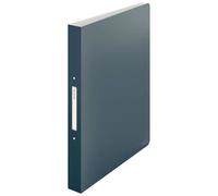 Leitz Dossier Cosy 2x25 Mm Rr A4