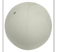 Leitz Ergo Ballon d'Exercice 65cm Gris, Charge Max 150kg, Type Pleine Taille, Certifié TÜV, Pompe Manuelle Incluse, Fabriqué en Allemagne