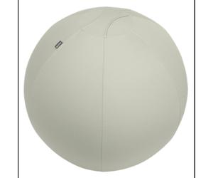 Leitz Ergo Ballon d'Exercice 65cm Gris, Charge Max 150kg, Type Pleine Taille, Certifié TÜV, Pompe Manuelle Incluse, Fabriqué en Allemagne
