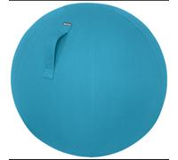Leitz Ergo Cosy Ballon d'Assise Bleu Intérieure Ø650mm - Charge Max. 100kg - Avec Pompe Manuelle et Poignée de Transport - Référence 52790061