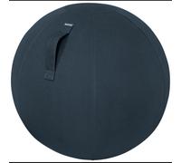 Leitz Ergo Cosy Ballon d'Assise Gris Intérieure Rond Diamètre 650mm Charge Max 100kg avec Pompe Manuelle Référence 52790089