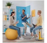 Leitz Ergo Cosy - Ballon d'exercice - diamètre de 65 cm - Jaune chaleureux Jaune chaleureux G