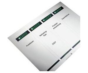 LEITZ Etiquette bristol pour dos de classeur, 31 x 190 mm G