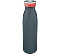 Leitz Bouteille Isotherme, Acier Inoxydable, Isolation Thermique pour Boissons Chaudes & Froides, Réutilisable, Cosy, Gris, 90160089