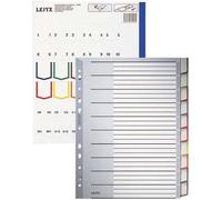 LEITZ Intercalaire en plastique vierge A4 extra large 10 pièces gris