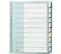 LEITZ Intercalaire plastique vierge A4 extra large oblique 10 pièces gris