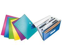 Leitz Lot de 6 Trieurs en polypro Assortis effet Métallisé