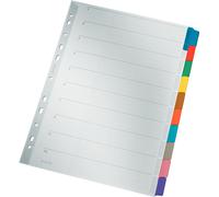 LEITZ Répertoire en carton mylar vierge A4 10 pièces gris onglets de couleur