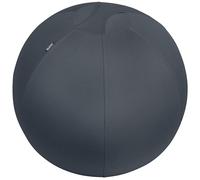 Leitz, Siège Ballon Ergonomique pour Bureau & Yoga, 65 cm de Diamètre, avec Housse en Tissu / Balle d'Assise / Pompe à Air Manuelle / 2 Bouchons, Pour une posture dynamique, Gamme Ergo, Gris, 52790089