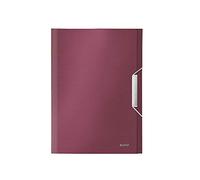 Leitz Trieur en Polypro Grenat effet Brossé 39570028