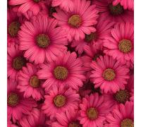 LeIxIaO Papier Peint Chrysanthèmes Roses Épaissir Mat Auto Adhésif 44x500 cm Rétro Comptoir Contact Papier Stickers Muraux pour Bains Salon Chambre Meubles Autocollants Amovible