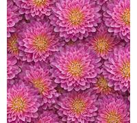 LeIxIaO Papier Peint Chrysanthèmes Roses Épaissir Mat Auto Adhésif 44x600 cm Rétro Comptoir Contact Papier Stickers Muraux pour Bains Salon Chambre Meubles Autocollants Amovible