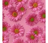 LeIxIaO Papier Peint Chrysanthèmes Roses Épaissir Mat Auto Adhésif 44x600 cm Rétro Comptoir Contact Papier Stickers Muraux pour Bains Salon Chambre Meubles Autocollants Amovible