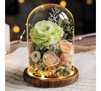 LEIYTFE Bouquet De Fleurs Stabilisées avec Éclairage LED, Rose Éternelle Fabriquée À La Main Cadeaux pour Maman, Femme, Petite Amie, Livraison De Fleurs Qui Durent Un an Ou Plus(Groen)