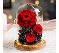 LEIYTFE Bouquet De Fleurs Stabilisées avec Éclairage LED, Rose Éternelle Fabriquée À La Main Cadeaux pour Maman, Femme, Petite Amie, Livraison De Fleurs Qui Durent Un an Ou Plus(Rosso)