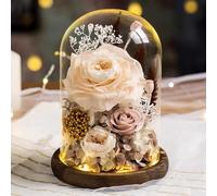 LEIYTFE Bouquet De Fleurs Stabilisées avec Éclairage LED, Rose Éternelle Fabriquée À La Main Cadeaux pour Maman, Femme, Petite Amie, Livraison De Fleurs Qui Durent Un an Ou Plus(Champagne)