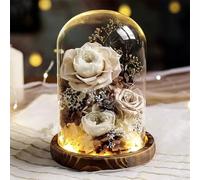 LEIYTFE Bouquet De Fleurs Stabilisées avec Éclairage LED, Rose Éternelle Fabriquée À La Main Cadeaux pour Maman, Femme, Petite Amie, Livraison De Fleurs Qui Durent Un an Ou Plus(Light Brown)