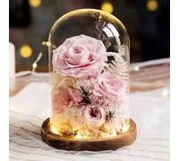 LEIYTFE Bouquet De Fleurs Stabilisées avec Éclairage LED, Rose Éternelle Fabriquée À La Main Cadeaux pour Maman, Femme, Petite Amie, Livraison De Fleurs Qui Durent Un an Ou Plus(Roze)