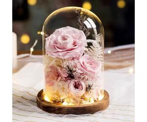 LEIYTFE Bouquet De Fleurs Stabilisées avec Éclairage LED, Rose Éternelle Fabriquée À La Main Cadeaux pour Maman, Femme, Petite Amie, Livraison De Fleurs Qui Durent Un an Ou Plus(Roze)