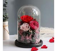LEIYTFE Cadeaux d'amour Éternel : Roses Stabilisées Cadeaux Romantiques Qui Ne Fanent Jamais De Vraies Fleurs sous Cloche De Verre, pour La Fête des Mères, La Saint-Valentin Et Noël(Rosso)