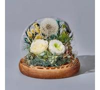 LEIYTFE Cadeaux d'anniversaire De Roses Stabilisées for Elle, Roses Et Pissenlits,Fleurs Naturelles pour La Fête des Mères, Livraison Express De Fleurs, pour La Décoration D'intérieur(Champagne)