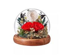 LEIYTFE Cadeaux d'anniversaire De Roses Stabilisées for Elle, Roses Et Pissenlits,Fleurs Naturelles pour La Fête des Mères, Livraison Express De Fleurs, pour La Décoration D'intérieur(Rosso)