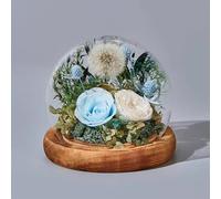 LEIYTFE Cadeaux d'anniversaire De Roses Stabilisées for Elle, Roses Et Pissenlits,Fleurs Naturelles pour La Fête des Mères, Livraison Express De Fleurs, pour La Décoration D'intérieur(Blauw)