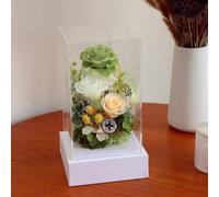 LEIYTFE Cadeaux De La Fête des Mères des Roses, des Fleurs Stabilisées Qui Durent Longtemps des Bouquets De Fleurs pour Les Femmes,Saint-Valentin, Fête des Mères, Les Anniversaires, Noël(Groen)