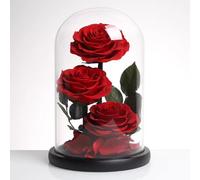LEIYTFE Cadeaux pour Maman Et Les Femmes Fleur Éternelle Préservée dans Un Verre, Roses Éternelles Qui Ne Fanent Jamais, Cadeaux Originaux pour La Fête des Mères, Qui Durent Un an Ou Plus(Rosso)