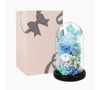 LEIYTFE Fleur Eternelle Cadeau Cadeaux pour Femmes, Cadeau Romantique Forever Rose pour Un Anniversaire Ou Une Fête, Composition Florale pour La Décoration D'intérieur(Style G)