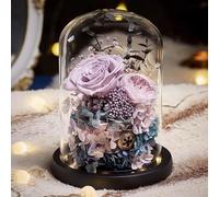 LEIYTFE Livraison De Vraies Roses Et Fleurs, Bouquet De Fleurs Stabilisées,Cadeaux Romantiques pour Un Anniversaire De Mariage, pour La Décoration De La Maison(Purple)