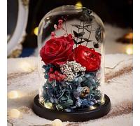 LEIYTFE Livraison De Vraies Roses Et Fleurs, Bouquet De Fleurs Stabilisées,Cadeaux Romantiques pour Un Anniversaire De Mariage, pour La Décoration De La Maison(Rosso)