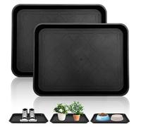 LEKEFETO Lot de 2 bacs à chaussures, grands, en plastique, avec bord surélevé, pour animaux de compagnie, jardin, chaussures, pour l'intérieur et l'extérieur, noir, 42 x 32 x 3 cm