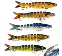 LEKEFETO Lot de 5 leurres de pêche Wobbler - Lot de 5 leurres de pêche avec 2 crochets de forage et boîte de rangement - Leurres de pêche pour la pêche en eau douce et en eau de mer - Cadeaux de pêche