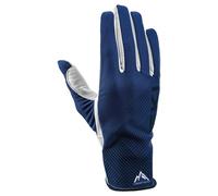 Leki Alpino Gants Guide Premium