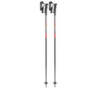 Bâton ski alpin LEKI HOT SHOT (Gris/Rouge) Mixte 125