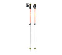 LEKI Bâtons de ski Wyldbird Vario TR