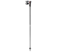 Leki - Black Venom GS TR - Bâtons de ski - 110 cm - black / carbon structure