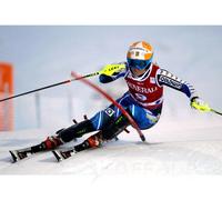 Leki Gate Guard Lite