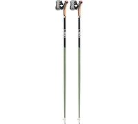 LEKI Passion Bâton de Marche Nodic Mixte Adulte, Vert métallisé/Noir, 110 cm