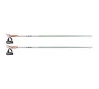 Leki - Passion - Bâtons de marche nordique - 115 cm - smokegreen / white / dark anthracite