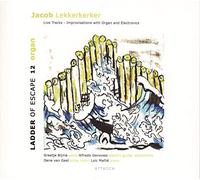 Jacob Lekkerkerker - Ladder of Escape No.12