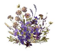 LELE LIFE Lot de 160 autocollants de scrapbooking en forme de plantes, fleurs transparentes, autocollants de scrapbooking pour téléphone, tablette, ordinateur portable, album, planificateur, agenda,