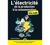 L'électricité, de la production à la consommation pour les nuls Enguerand Renault (Auteur)