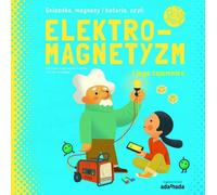 L'électromagnétisme et ses mystères
