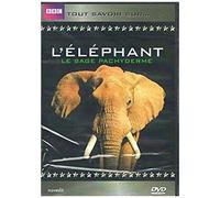 L'eléphant Tout Savoir Sur...