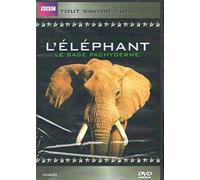 L'Eléphant – Tout savoir sur – DPM
