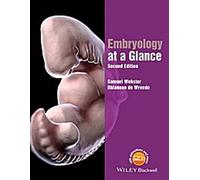 L'embryologie en un coup d'œil